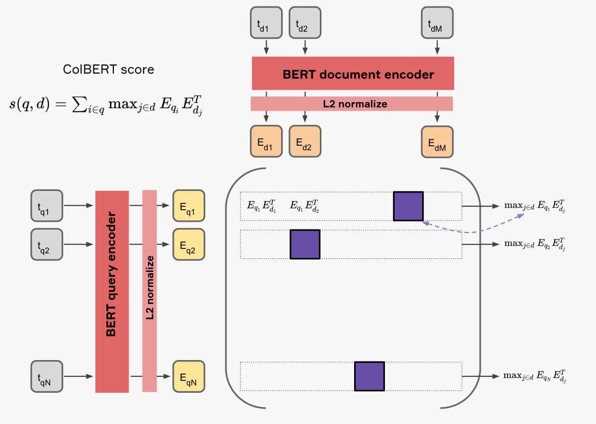 A white box analysis of ColBERT - Naver Labs Europe