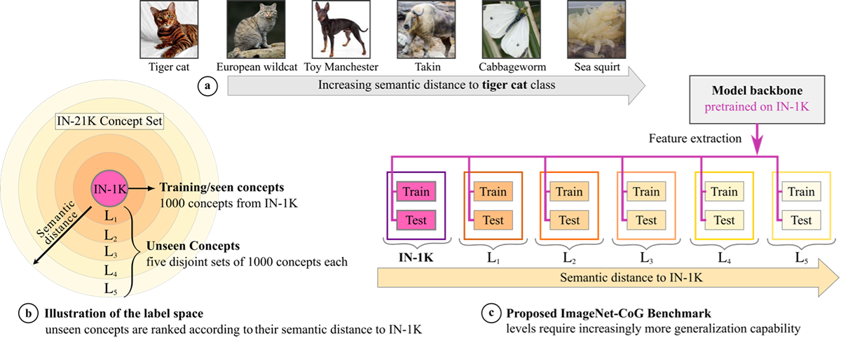 An overview of our ImageNet Concept Generalization (CoG) benchmark.