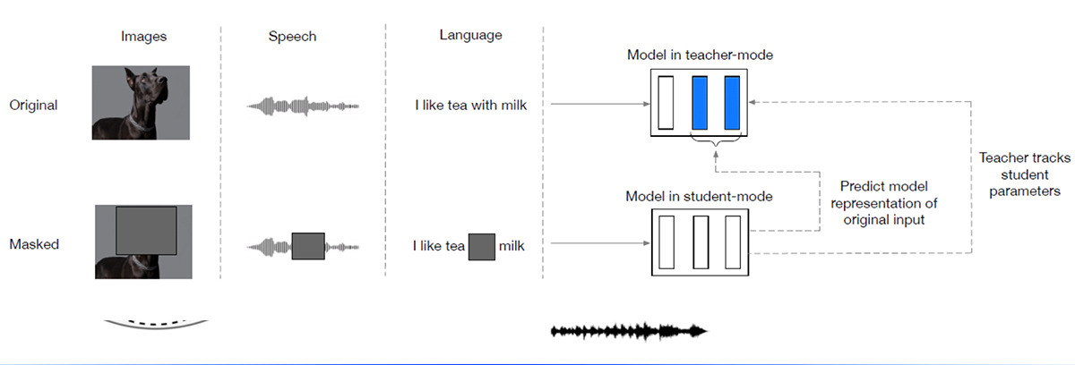 On Multimodal Speech Text Pre Trained Models Naver Labs Europe