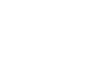 AI4R White Logo2